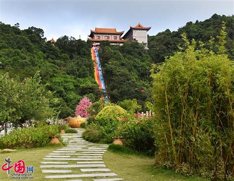 觀音山墳墓|廣東觀音山國家森林公園